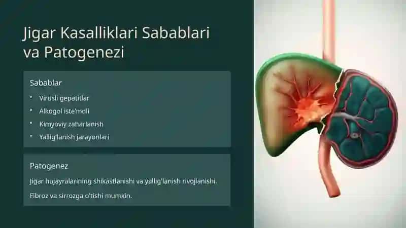 Jigar Faoliyatiga Ta'sir Etuvchi Vositalar va Gepatoprotektorlar 3