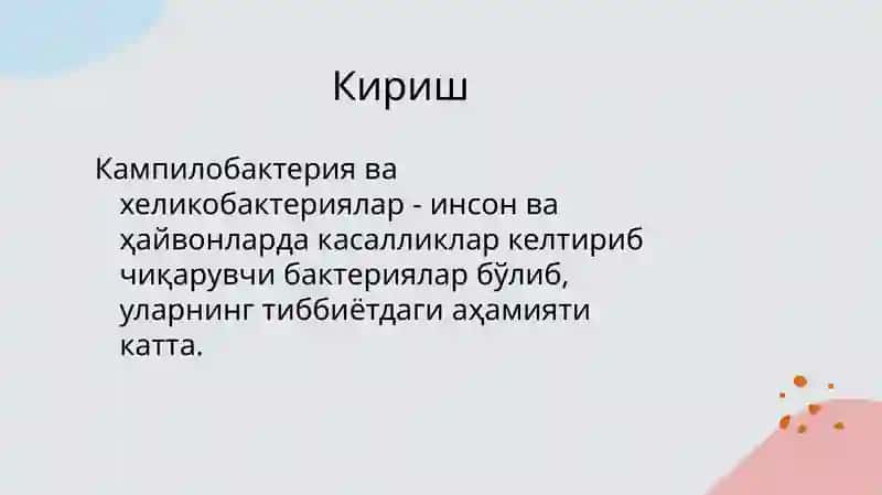 Кампилобактериялар ва Хеликобактериялар 3