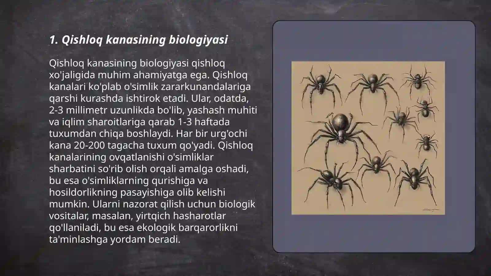TIBBIYOTDA AHAMIYATGA EGA BOʼLGAN OʼRGIMCHAKSIMONLAR: QISHLOQ KANASI, QICHIMA, IT VA TAYGA KANALAR 3