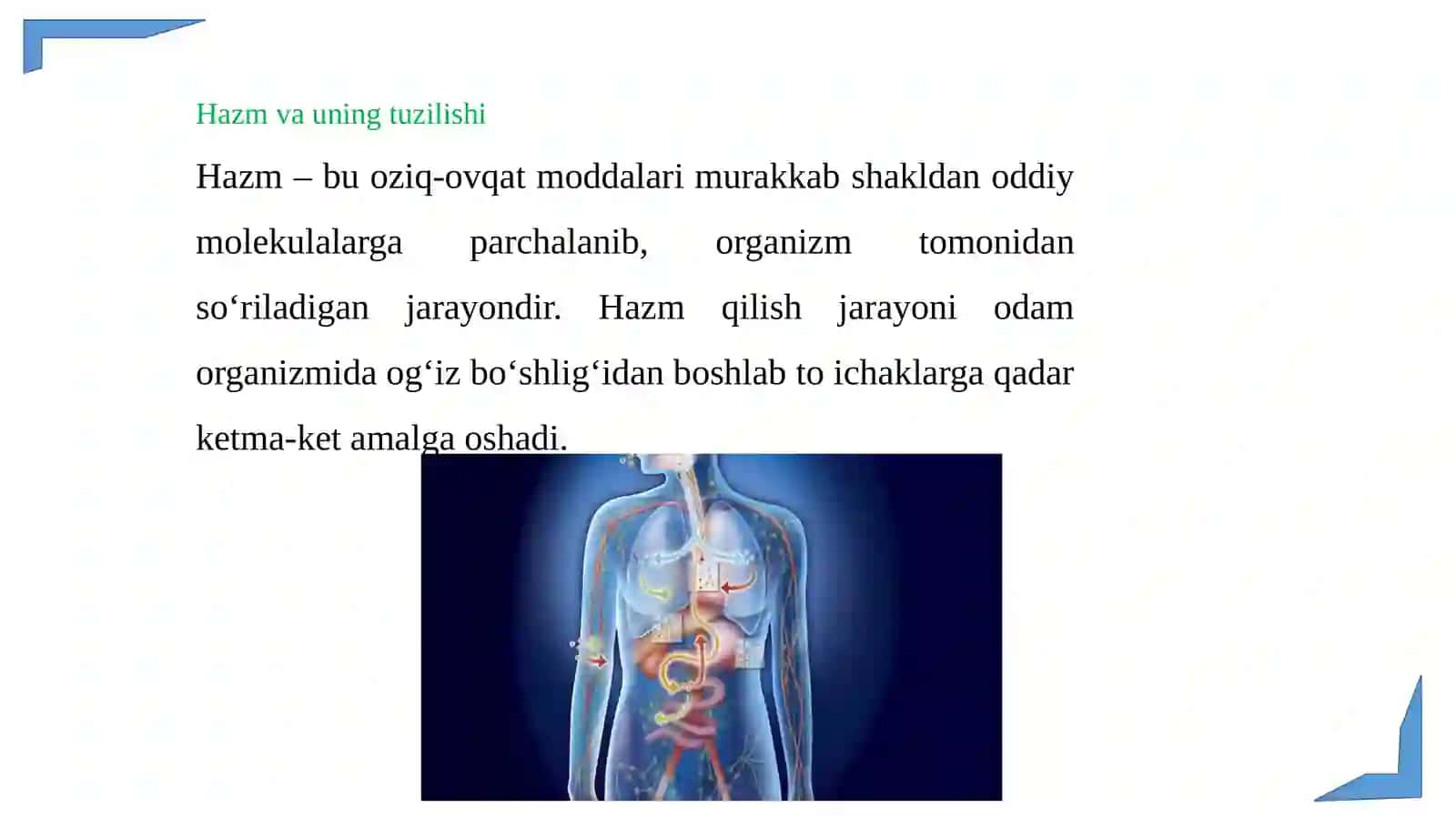 Og’iz bo’shlig’i fiziologiyasi 3