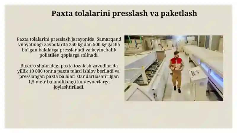 Paxta tozalash zavodlari 3