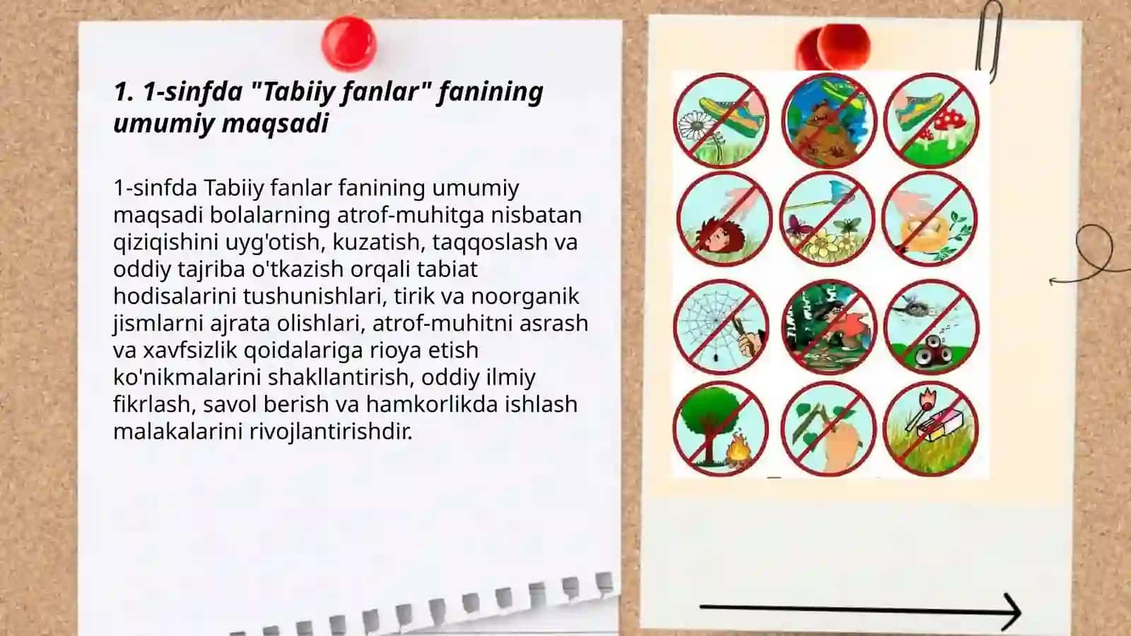 1-sinfda "Tabiiy fanlar" fanining maqsad va vazifalari 3