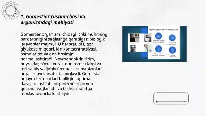 Gomestiar Tizimlari va Organizmdagi Mohiyati 3