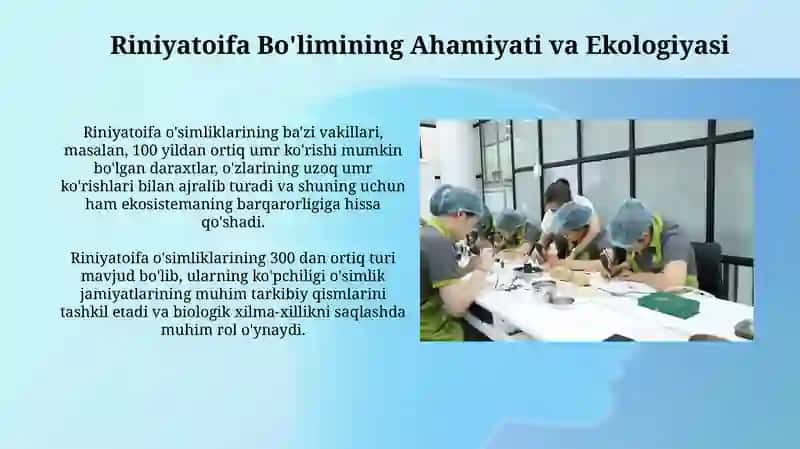Riniyatoifa oʻsimliklar boʻlimi sinflari asosiy vakillarini oʻrganish 3