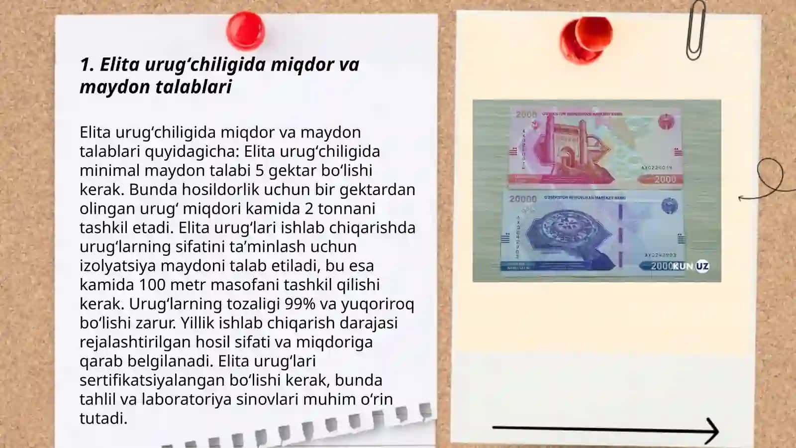Elita urugʻ miqdori va maydonga boʻlgan talabni aniqlash, nav tozaligini nazorat qilish 3