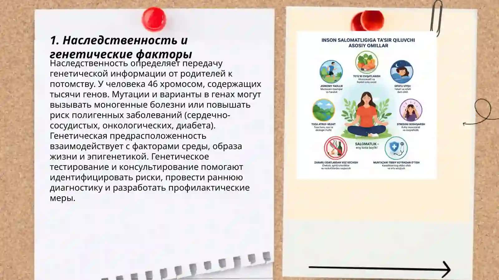 «Факторы, влияющие на здоровье человека» 3
