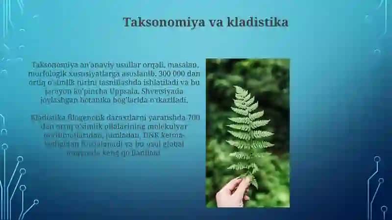 Yuksak o'simliklarning sistematikasi 3