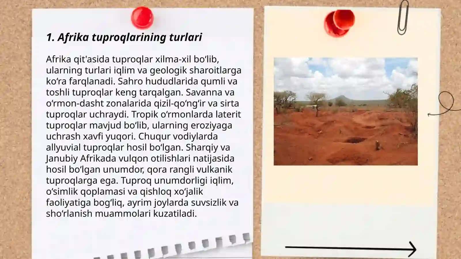 Afrika tuproqlari 3