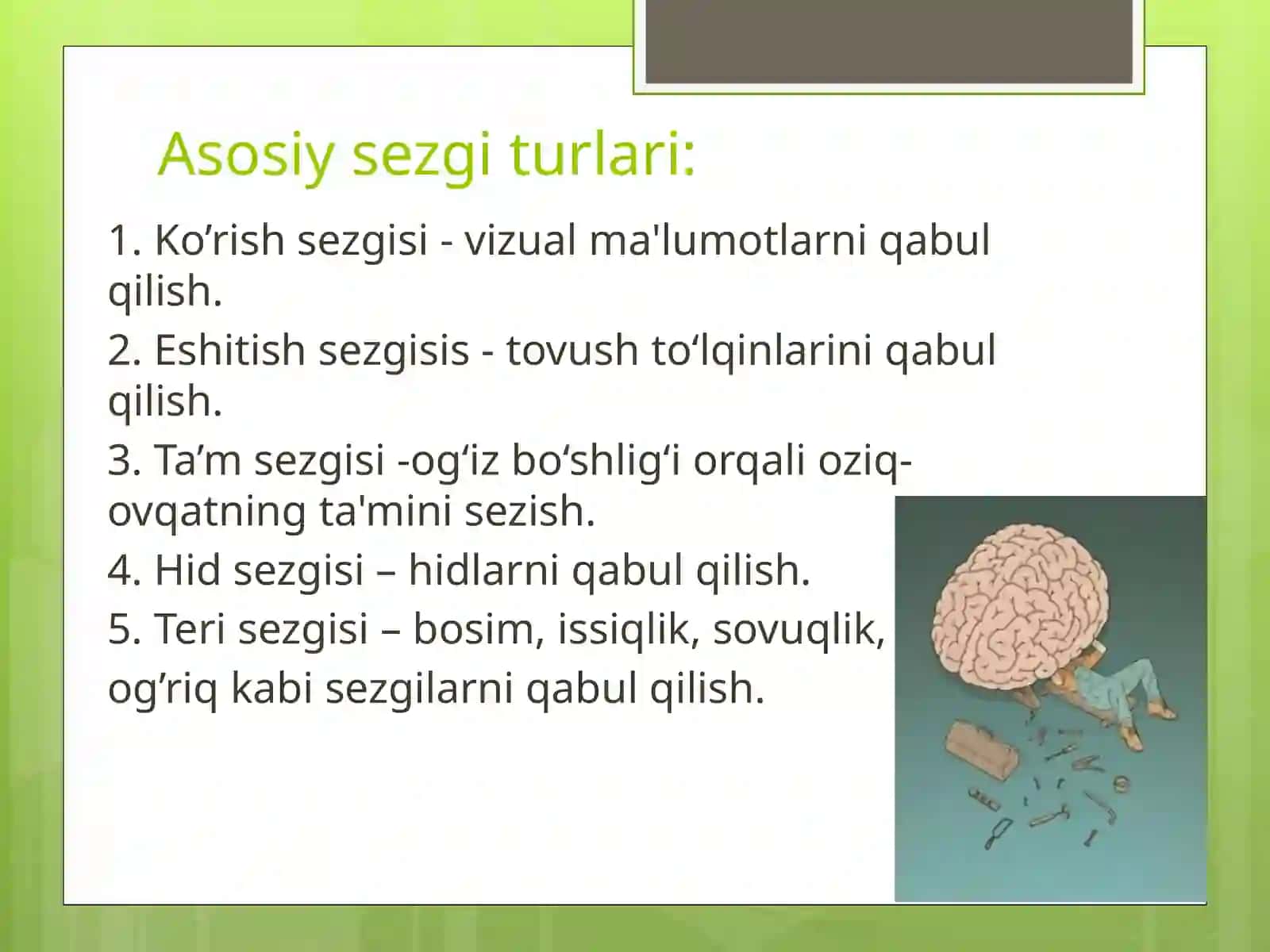 Sezgi va idrok 3