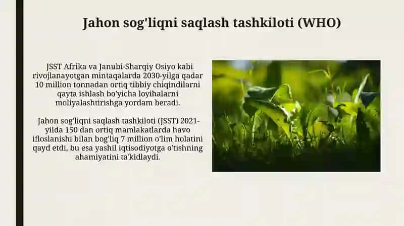 Yashil iqtisodiyotni qo'llab-quvvatlovchi xalqaro tashkilotlar 3