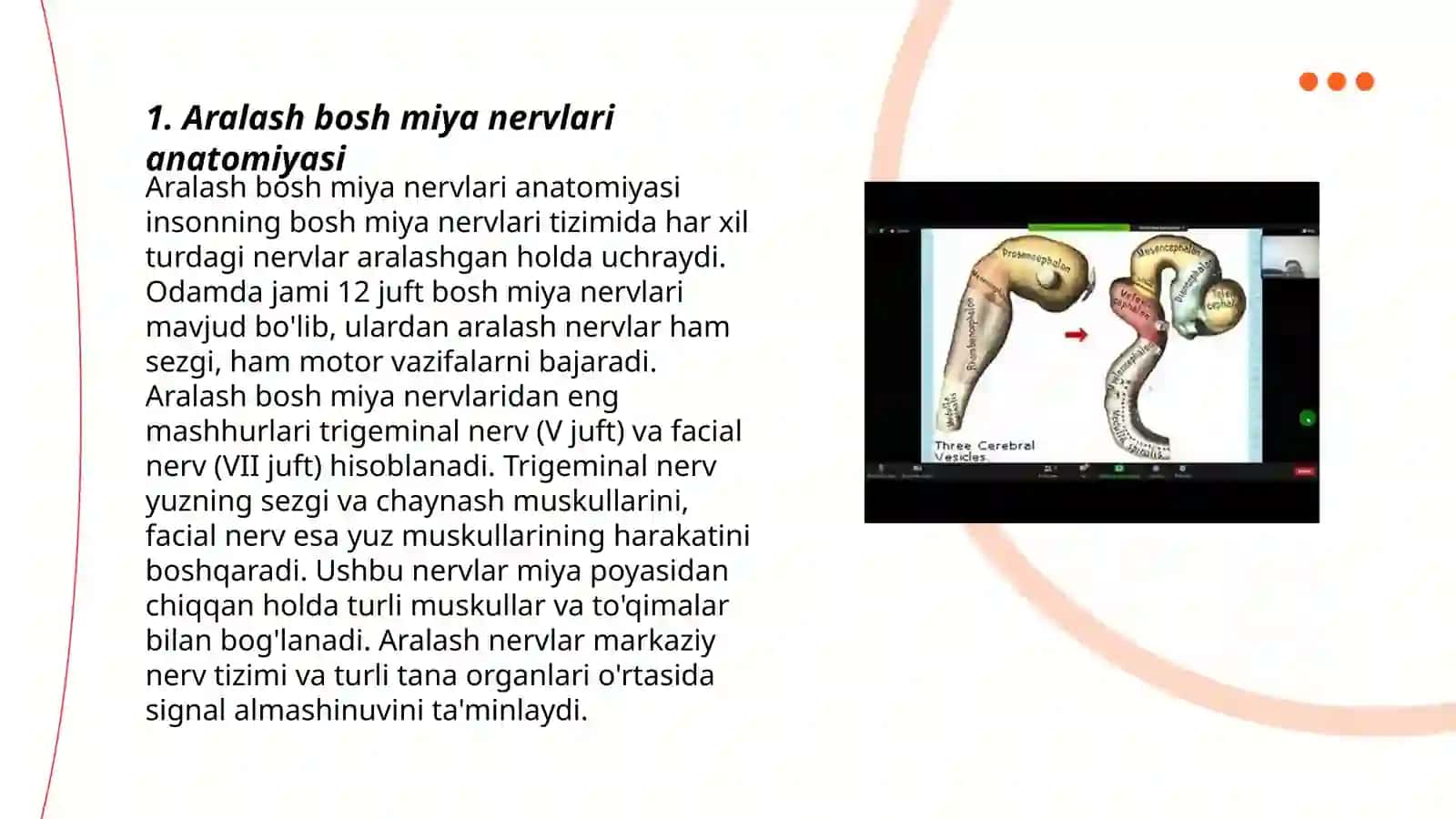 Aralash bosh miya nervlarning funksional va klinik anatomiyasi (IX va X juft BMN) 3