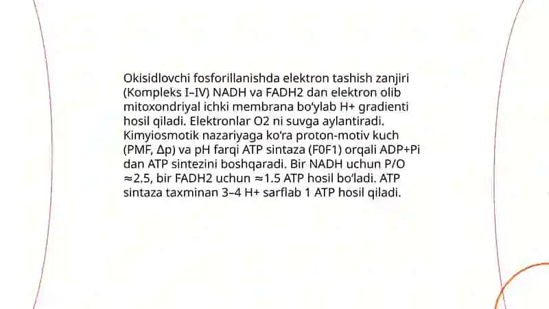 Biokimyo fanidan:ATF sintezi va parchalanishining boshqarilishi 3