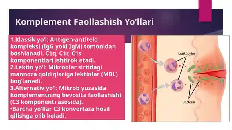 Komplement Bogʻlanish Reaksiyasi Mexanizmi va Vitaminlar Almashinuvi Buzilishlari 3
