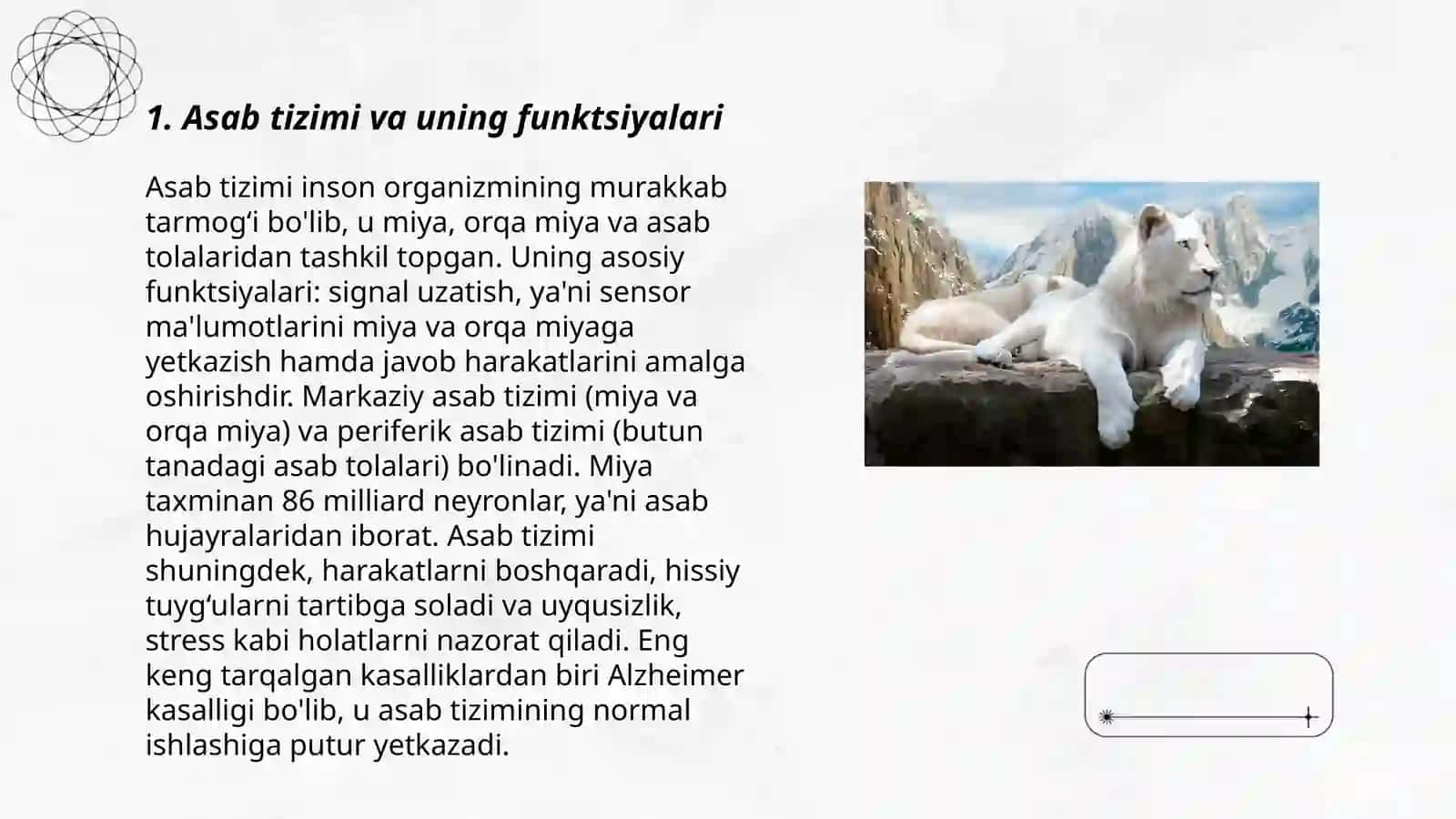 Odamlar va hayvonlar organizmda boshqaruv tizimlari 3