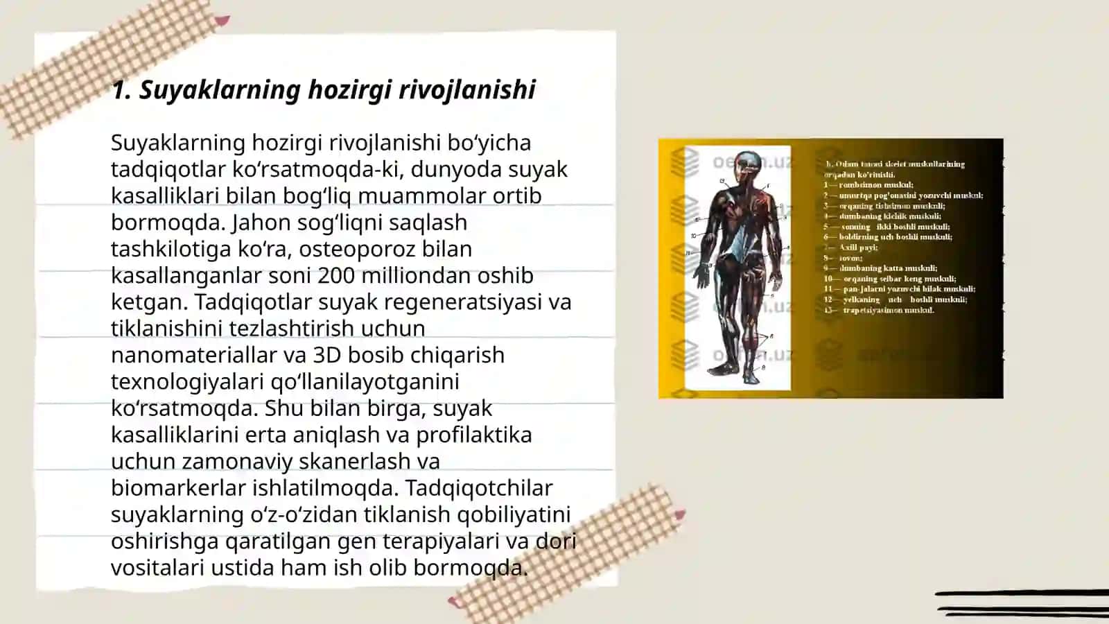 Skeletning rivojlanish anomaliyalari 3