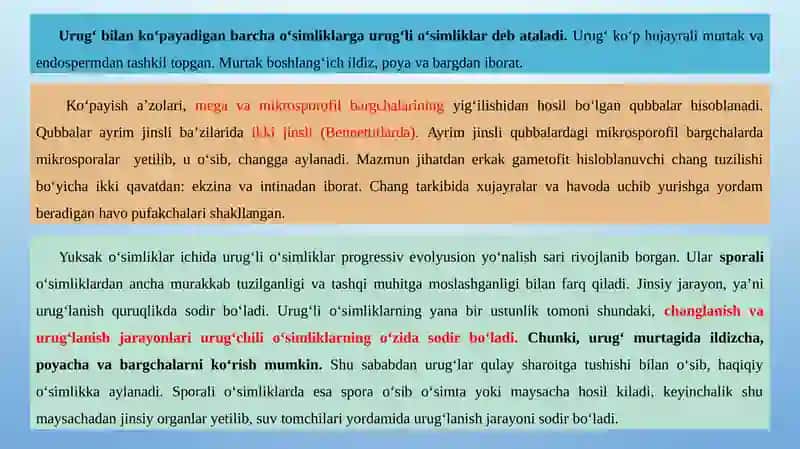 Urug‘li O‘simliklar. Qarag‘aytoifa (Ochiq Urug‘lilar) – Pinophyta(Gymnospermae) O‘simliklar Bo‘limi 3