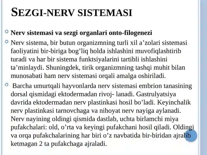 A’zolar sistemasi ontofilogenezi(sezgi-nerv,jinsiytizim, hazmqilish) 3