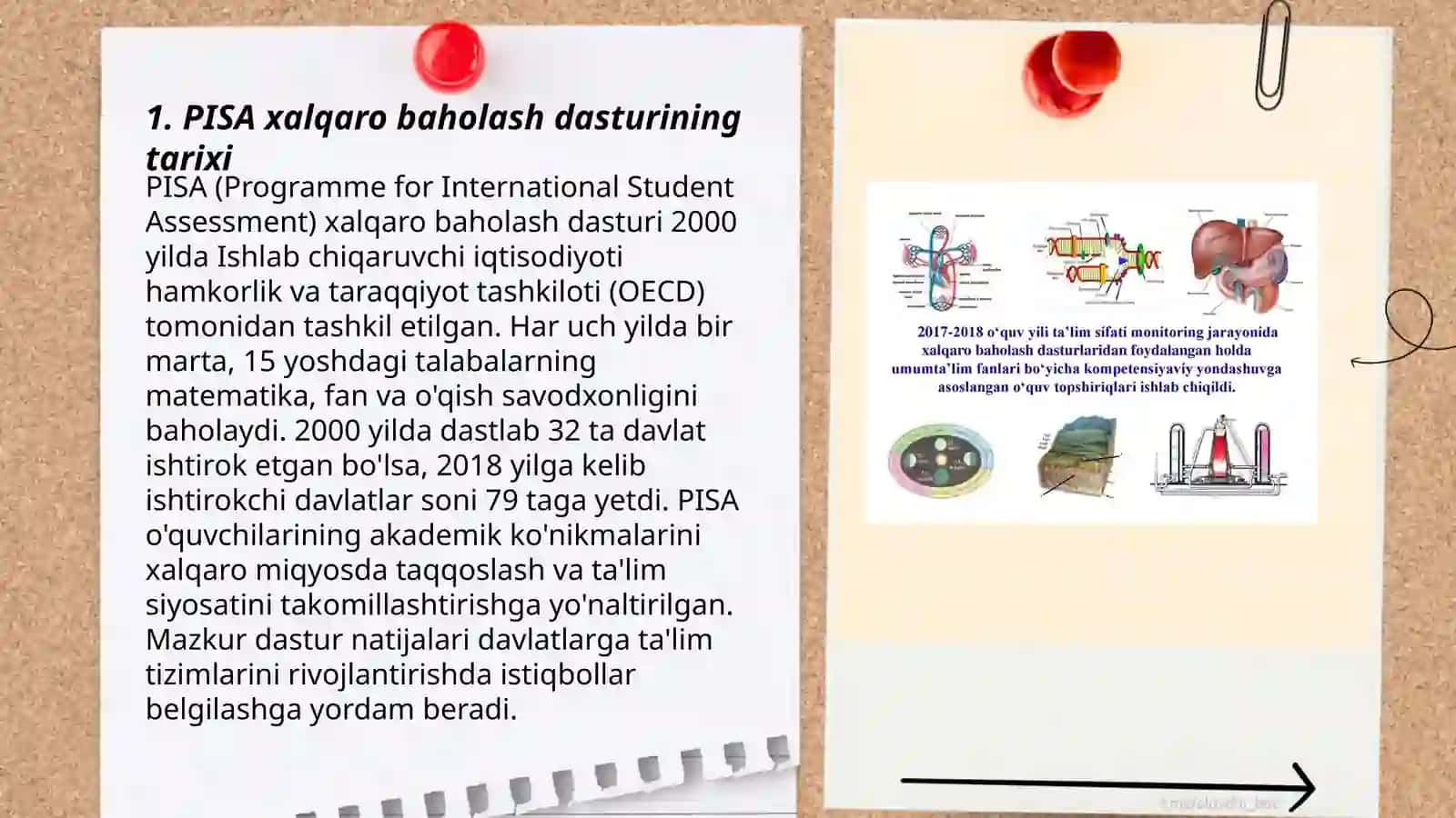 PISA xalqaro baholash dasturi mazmun va mohiyati 3