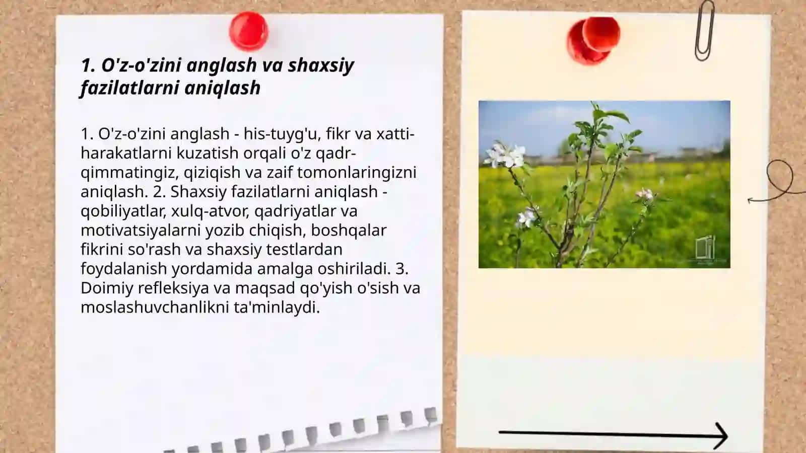 Men qanday insonman. Öz oʻzimni kashf etish 3