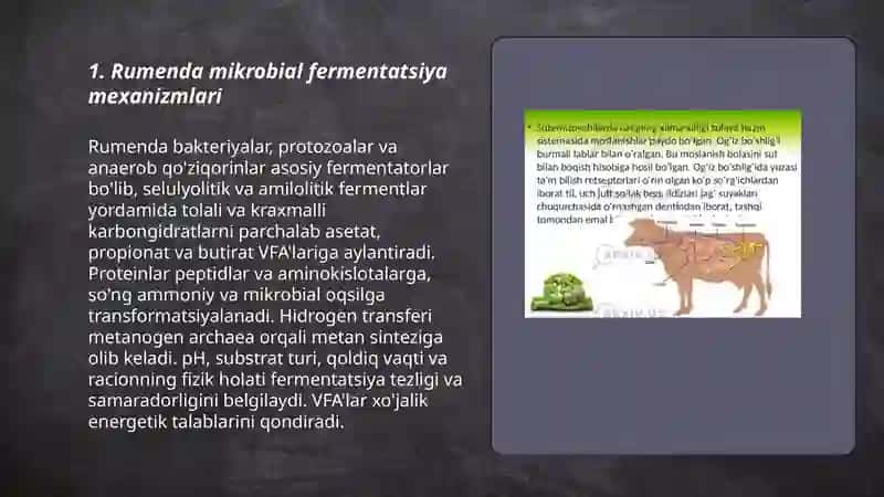 Kavsh qaytaruvchi hayvonlarda ozuqa hazmining xususiyatlari 3