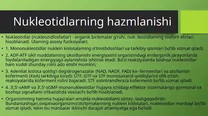 Nukleotidlar almashinuvi 3