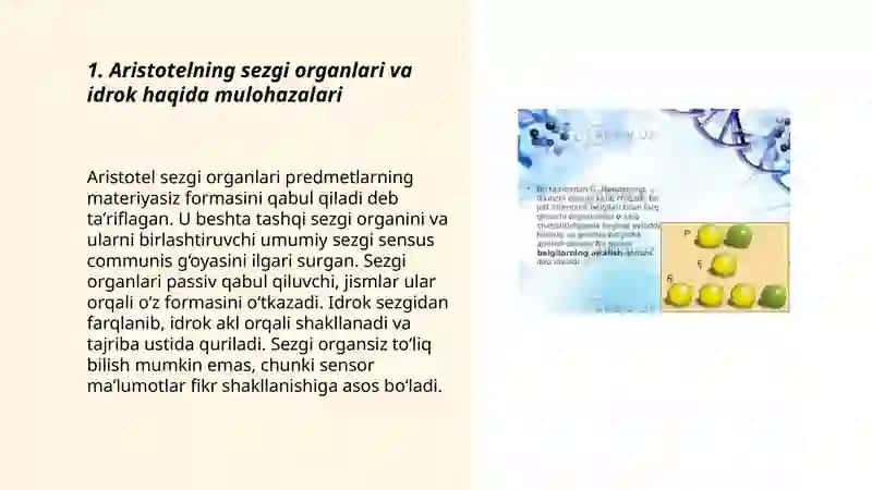 Aristotelning sezgi organlari va idrok haqida mulohazalari 3