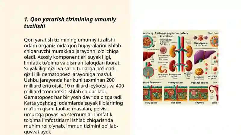 Bolalarda qon yaratish tizimi anatomo-fiziologik xususiyatlari 3