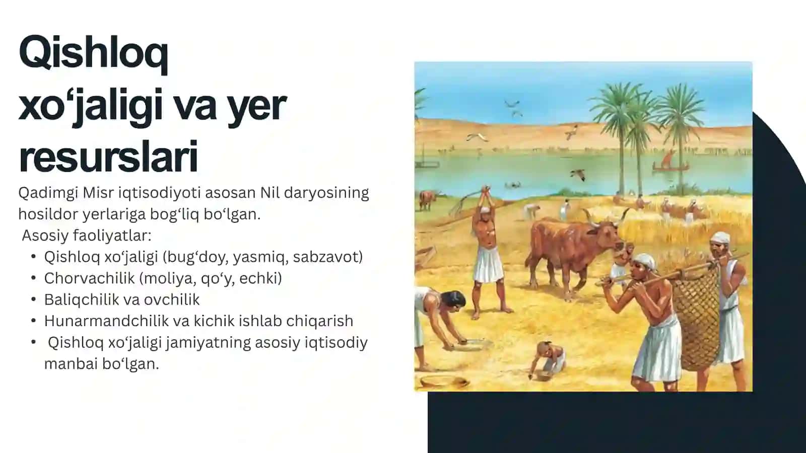 Qadimgi misrdagi iqtisodiy g'oyalar 3