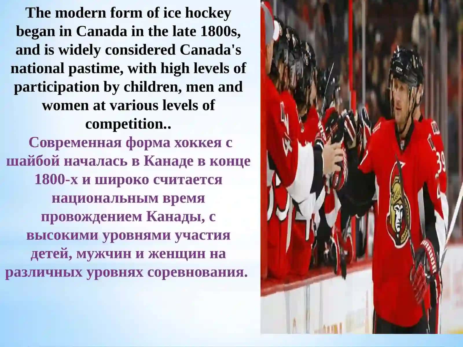 ICE HOCKEY 3