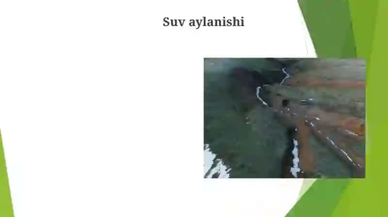 Landshaftlarda biogeokimyoviy aylanma harakatlar 3