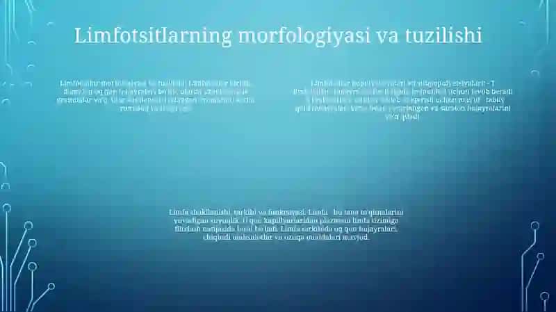 Limfotsitlarning Populyatsiyalari Va Subpopulyotsiyalari 3