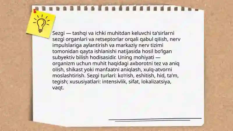 Sezgi 3