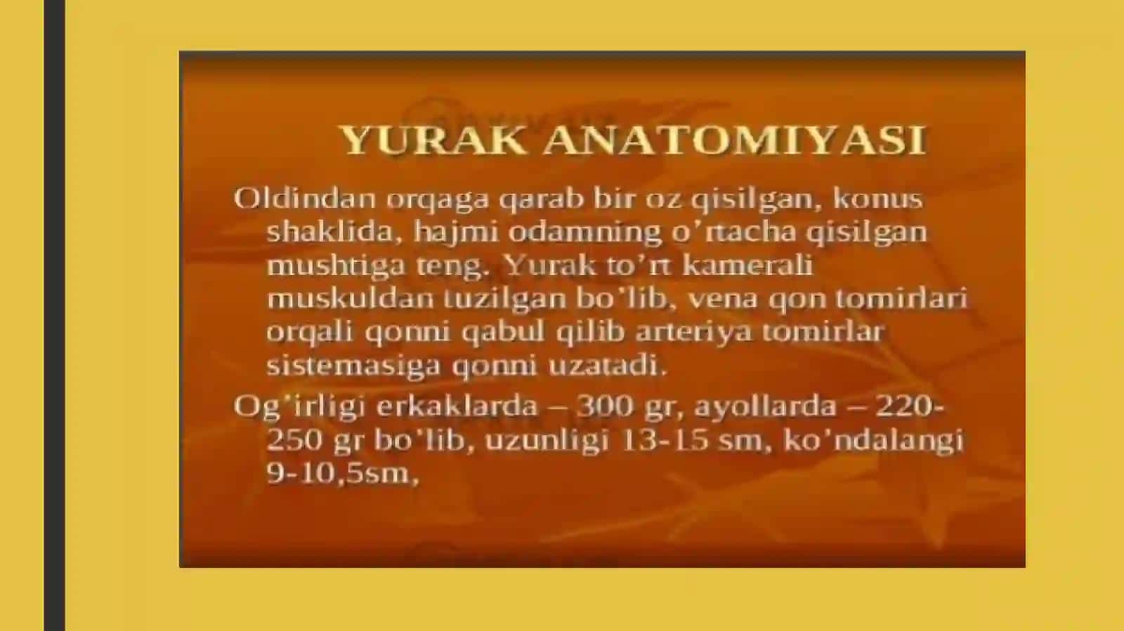 Yurak-qon tomirning anatamo-fiziologik tuzilishi 3