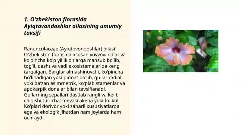 O'zbekiston florasida Ayiqtovondoshlar - (Ranunculaceae) oilasi 3