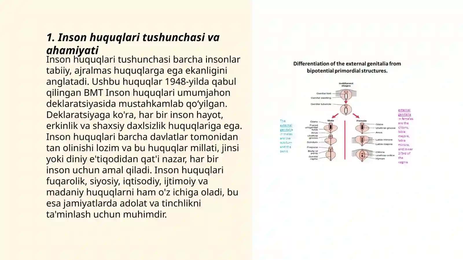 Inson huquqlari himoyasining kafolatlari mexanizmi va uni Oʻzbekistonda shakllanishi 3