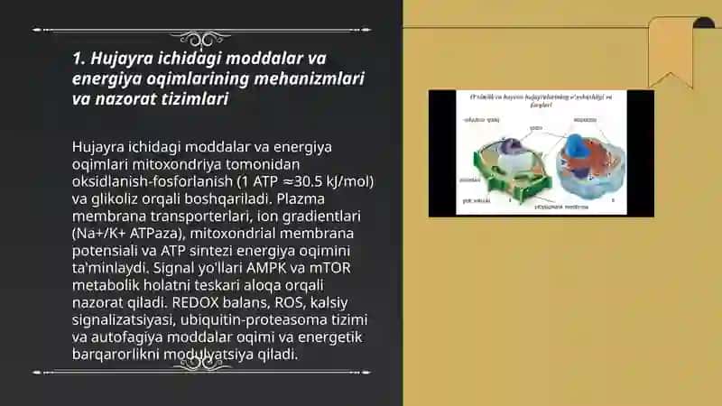 Hujayrada moddalar energiya va ma'lumotlar oqimi proliferatsiyasi muammolarining tibbiyotdagi roli 3