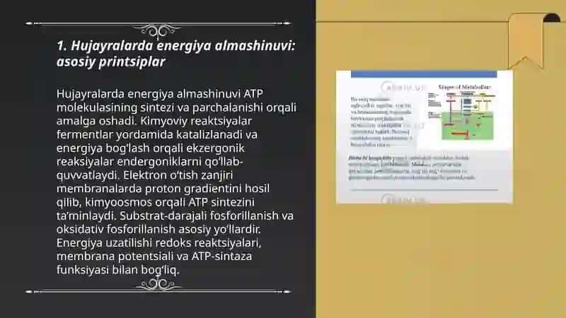 Hujayralarda modda va energiya almashinuvi 3