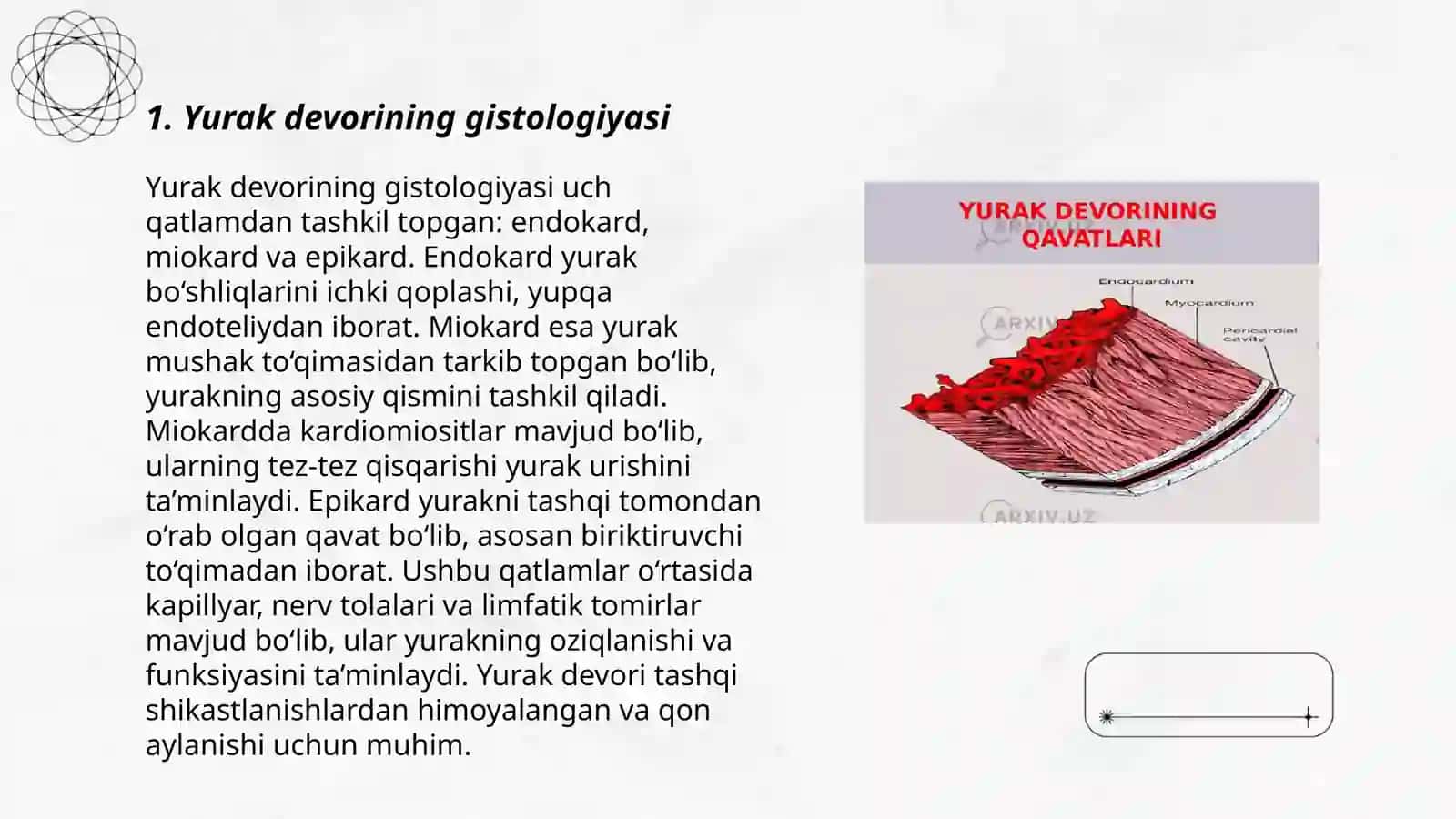 Yurak va qon tomir sistemasi haqida gistologik malumot 3