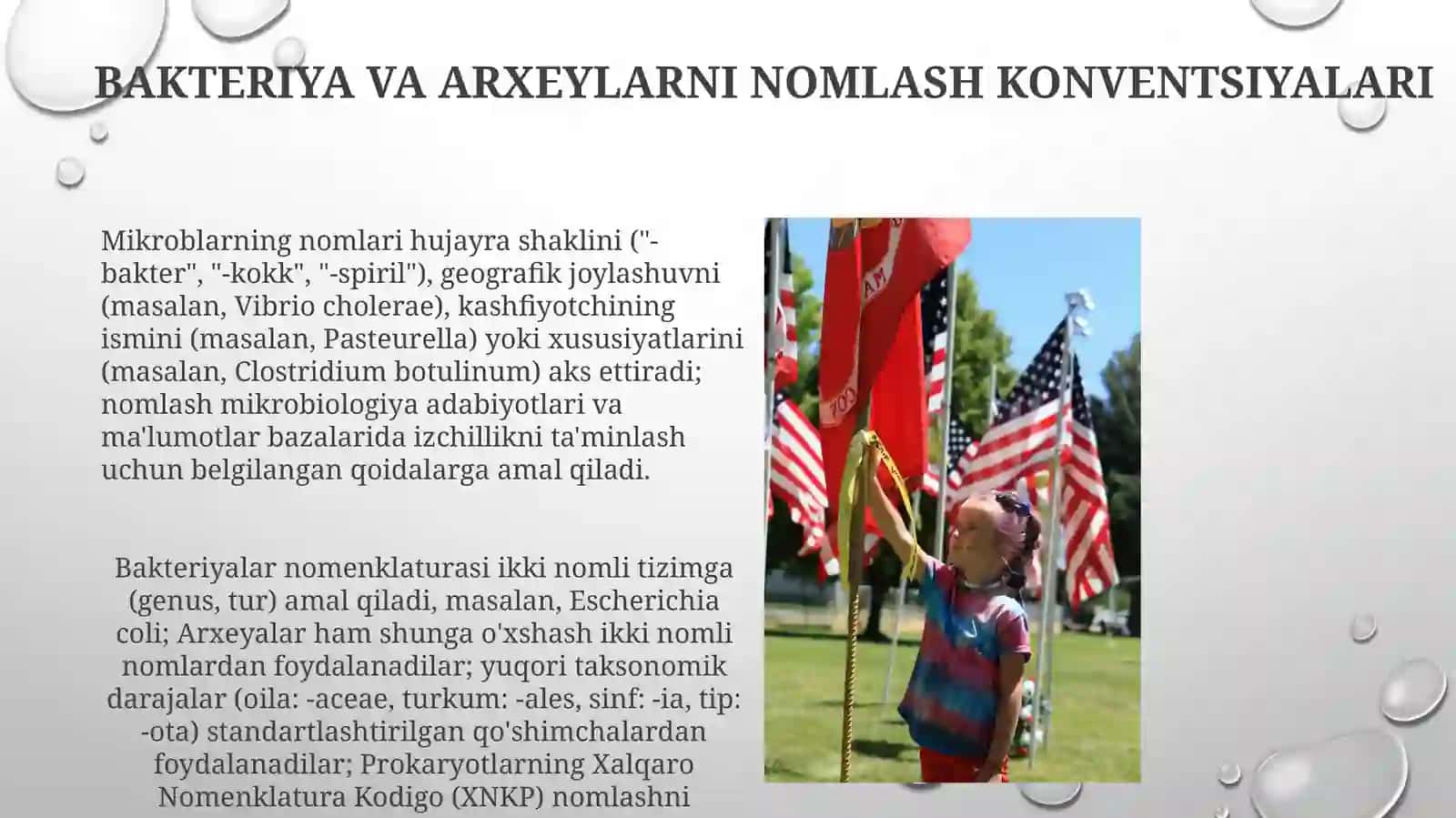 Bakteriya va Arxeylarni Nomlash Konventsiyalari 3