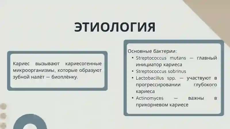 КАРИЕС 3