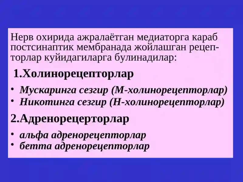 Эфферент иннервацияга таъсирэтувчи воситалар 3