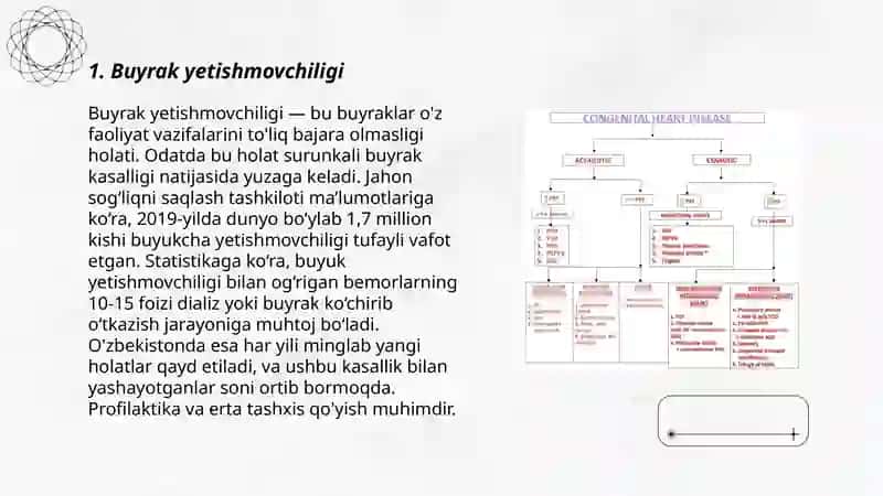 Tug‘ma va orttirilgan buyrak nuqsonlari 3