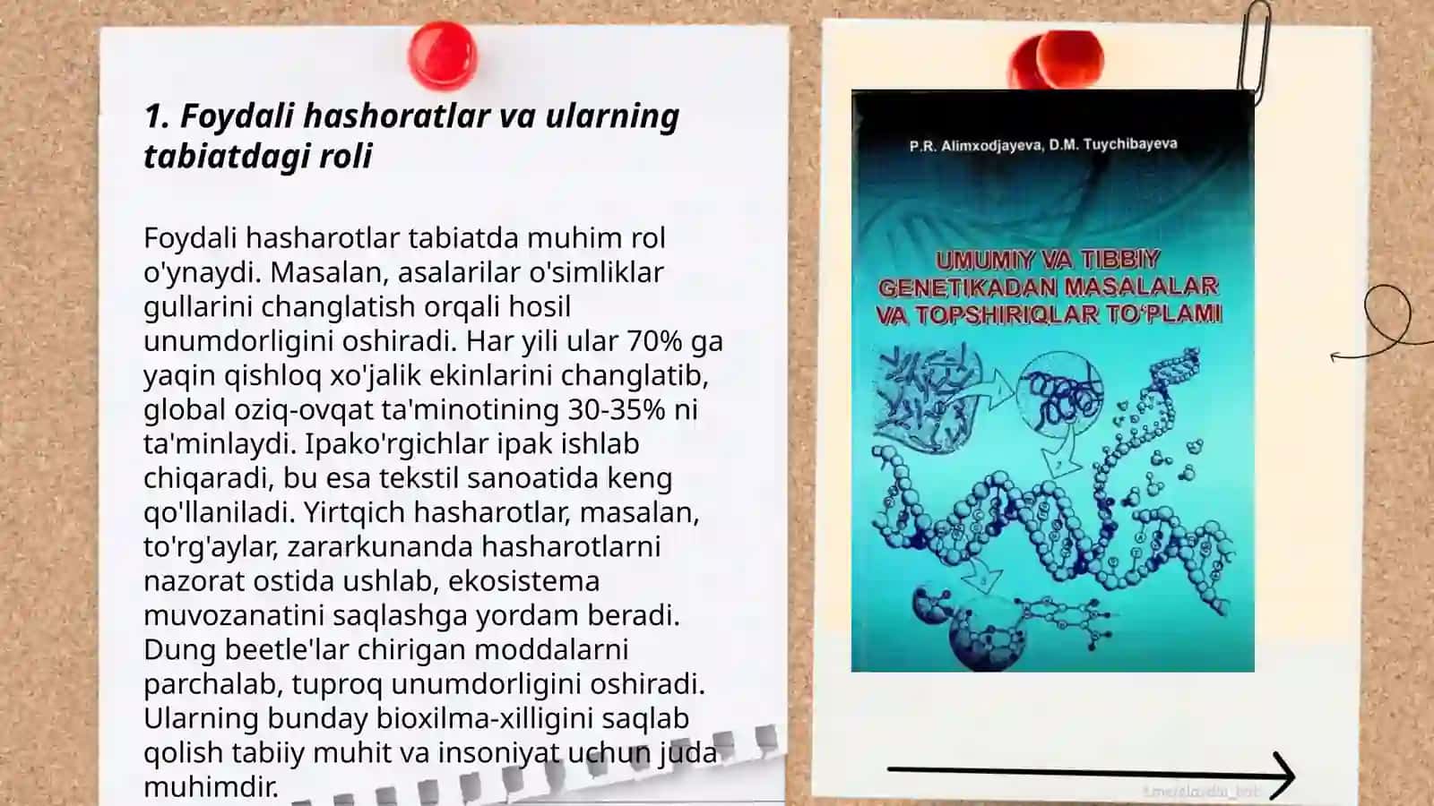 Foydali va zararli hashoratlar. Nazariy muammoli topshiriqlar 3
