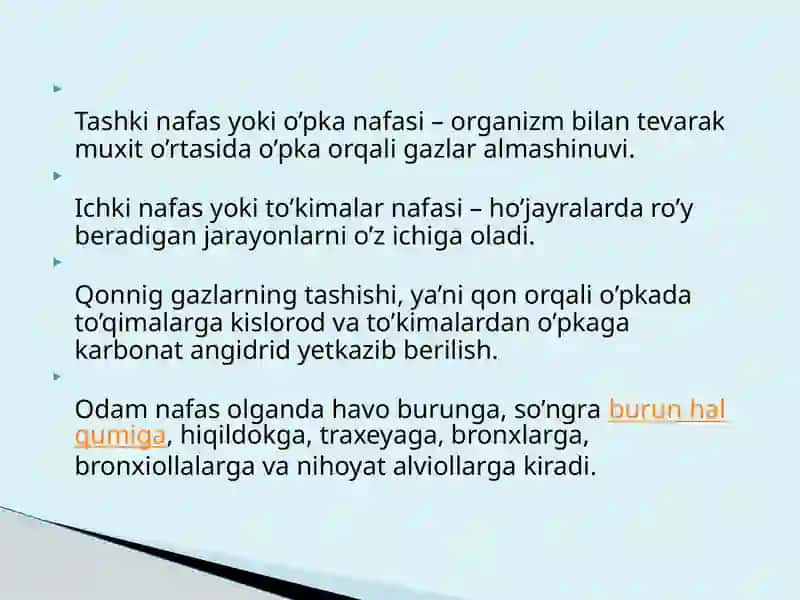 NAFAS ORGANLARINING YOSH HUSUSIYATLARI 3