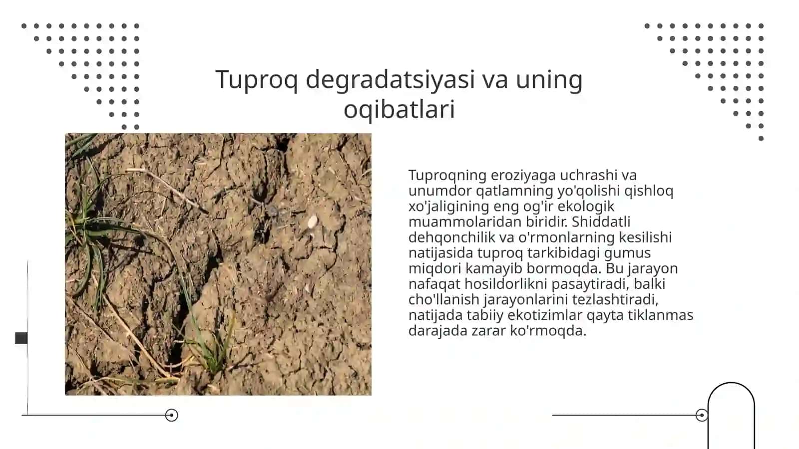 Qishloq xo'jaligining ekologik barqarorlikdagi o'rni va ahamiyati 3