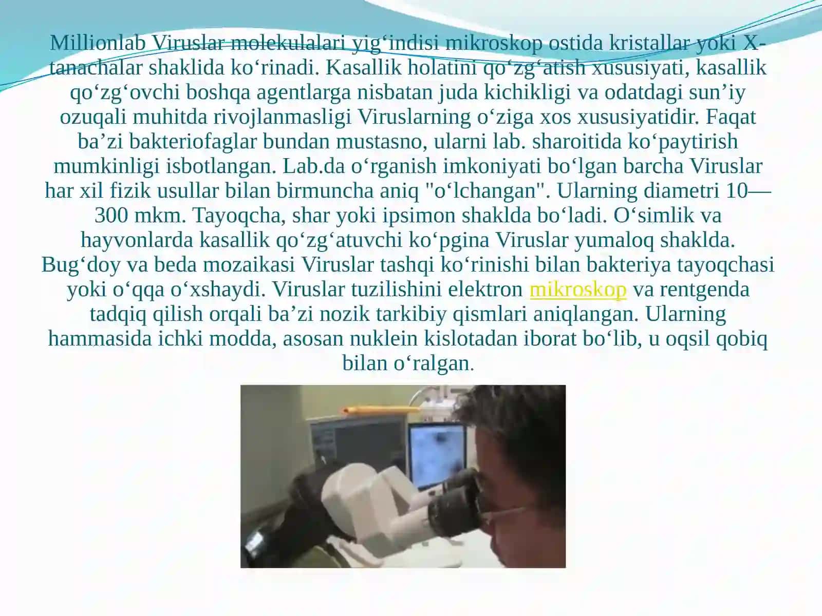 VIRUSLAR STRUKTURASI 3