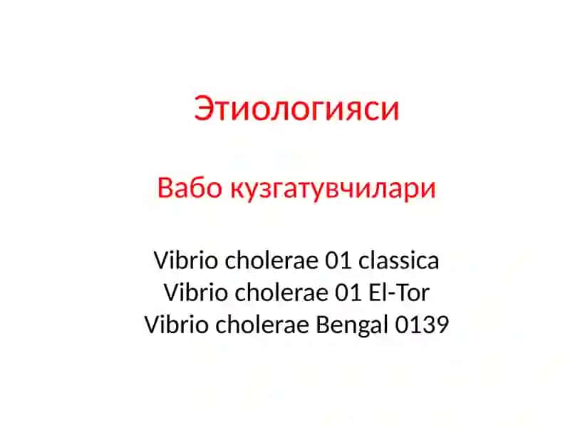 Вабо (cholera) 3