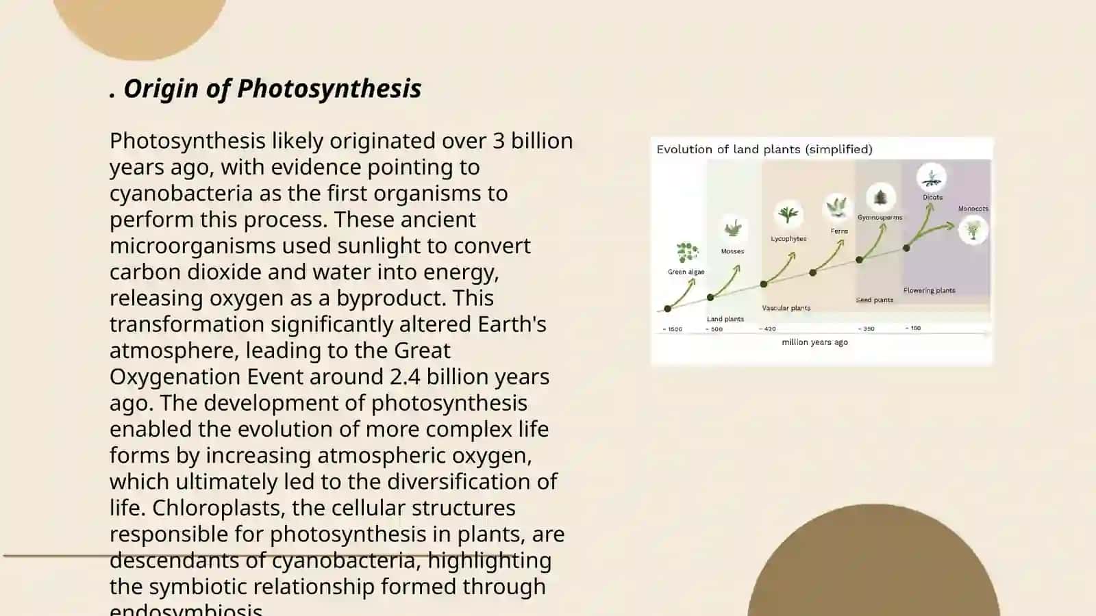 The evolution of plants 3