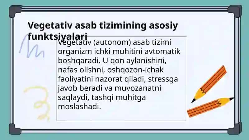 Vegetativ asab tizimining fiziologiyasi 3