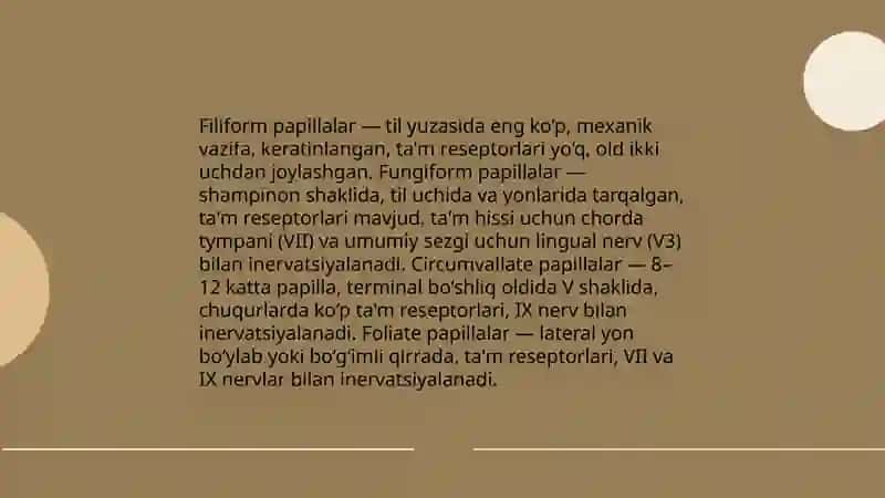Tam va hid bilish aʼzolarining vazifaviy anatomiyasi 3